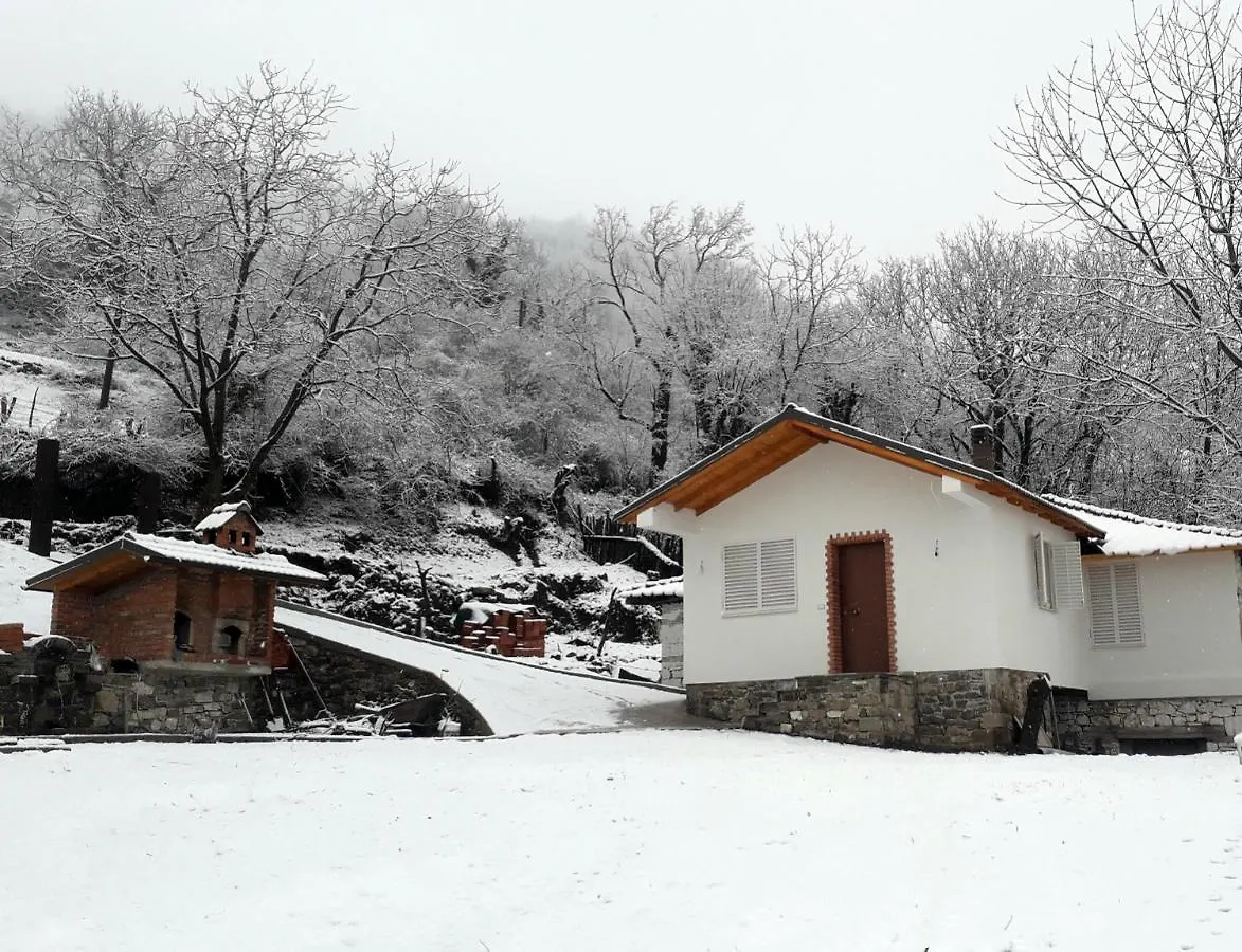 Guest House Laci Tirana 0*,